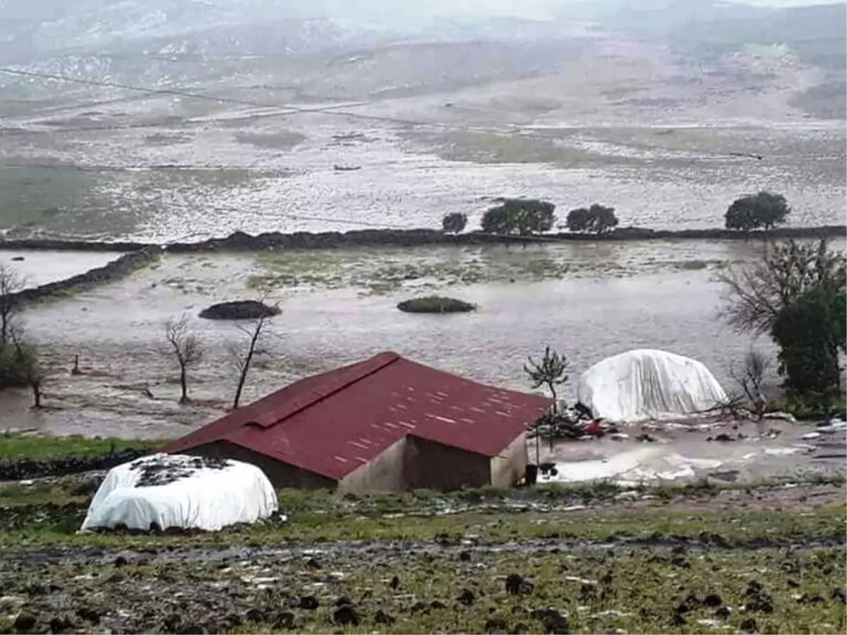 Ergani\'de Dere Taştı: 5 Hayvan Telef Oldu