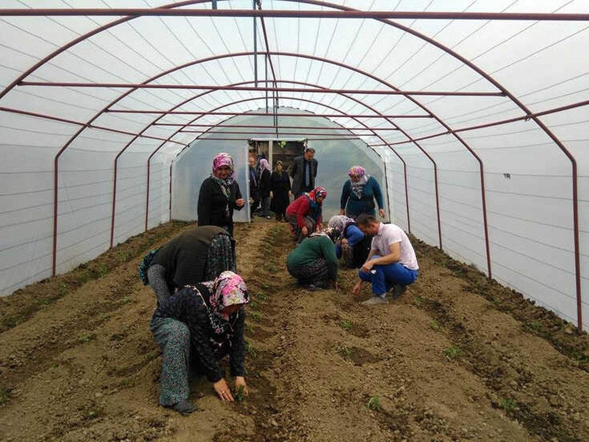 Yenice\'de Seracılık Kursu Açıldı