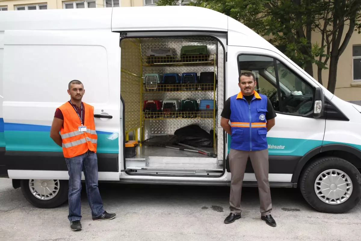 Odunpazarı Ekipleri Yaralı Köpeğin Yardımına Koştu