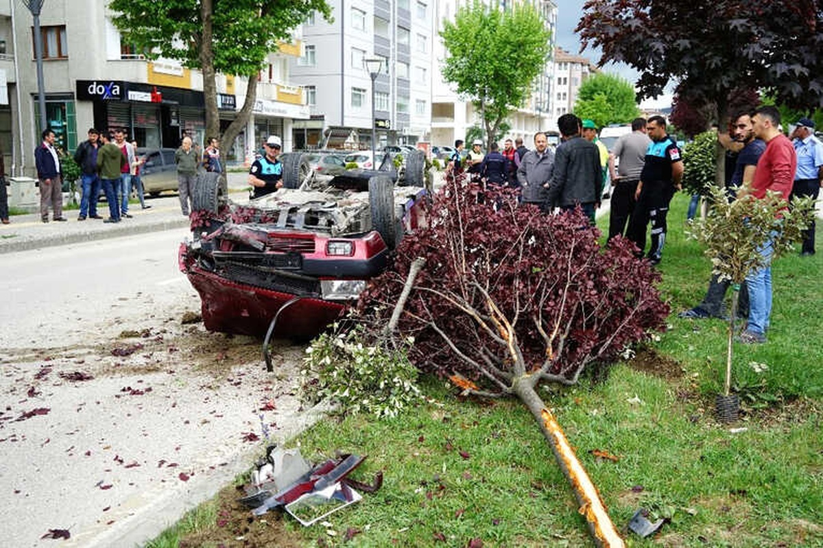 Otomobil Refüjde Ağaçlara Çarparak Takla Attı: 1 Yaralı