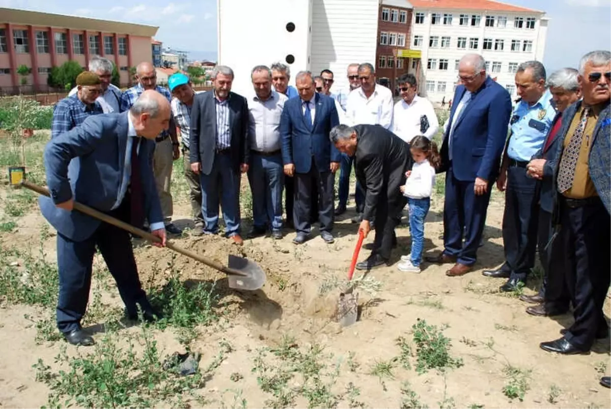 Afrin Şehitleri Anısına Zeytin Fidanı Dikildi