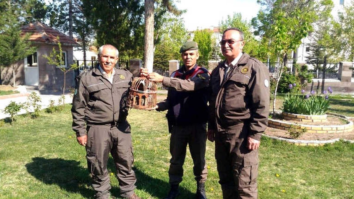 Jandarmadan Keklik Avcısına Suçüstü