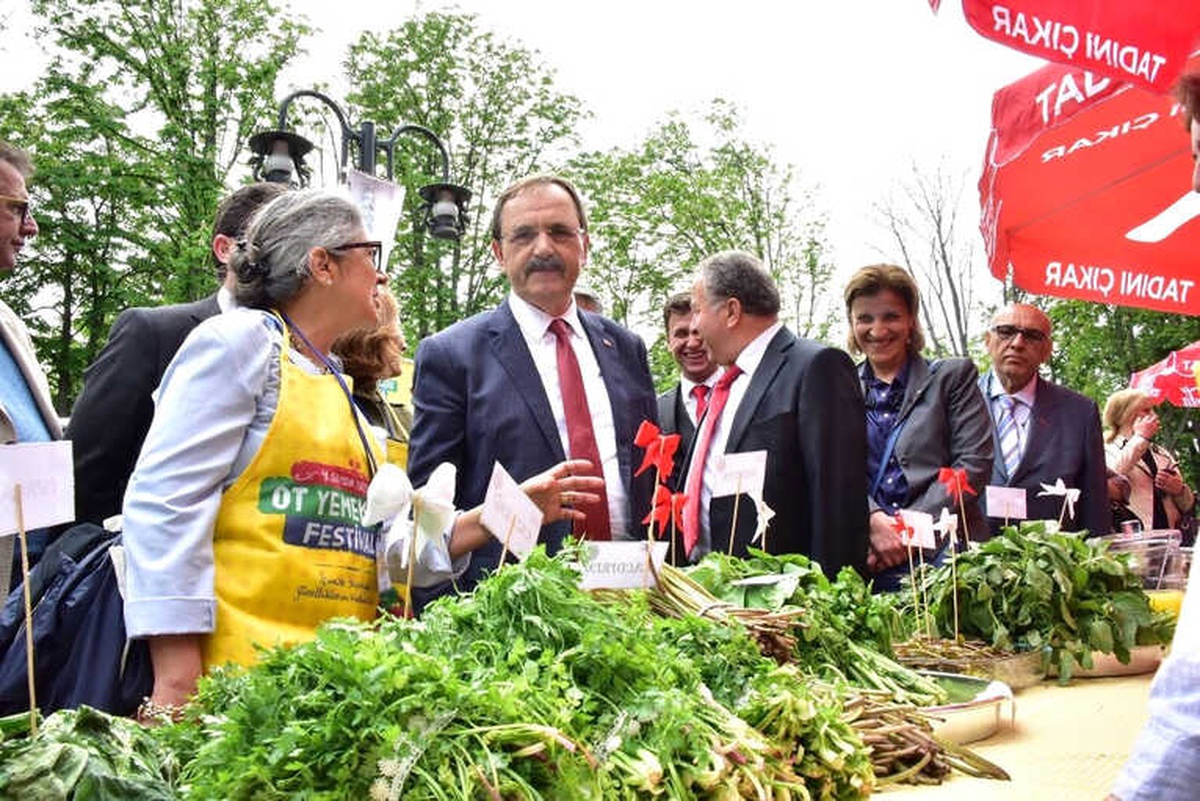 Samsun Yöresel Ot Yemekleri Festival
