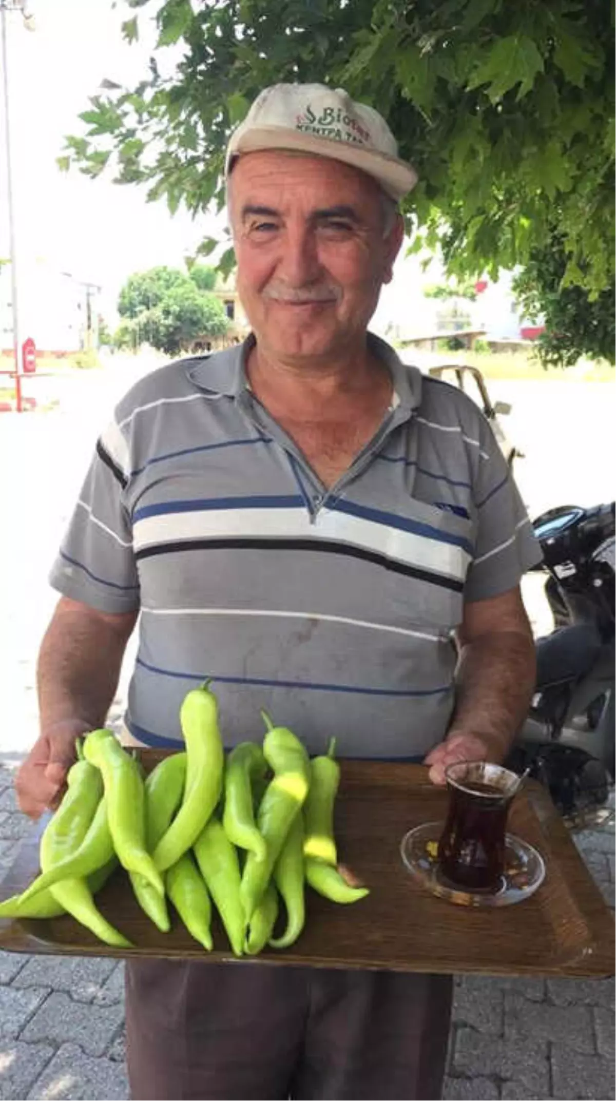 Üreticiden: "3 Kilo Bibere, 1 Bardak Çay" Eleştirisi