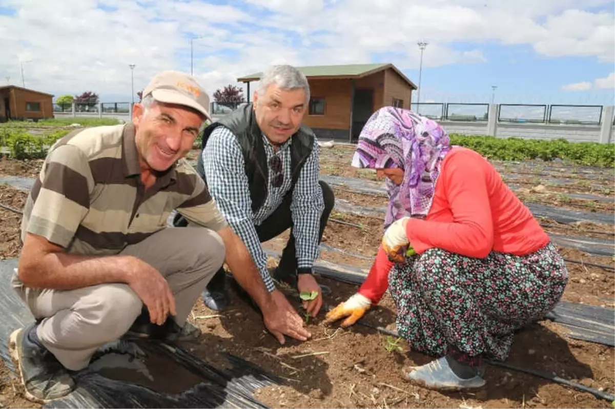 Organik Bahçe Sezonu Açıldı