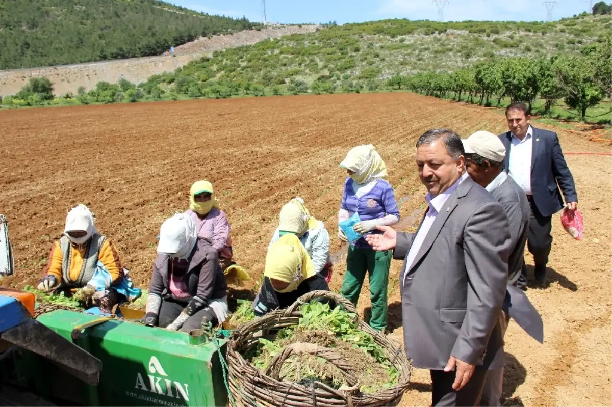 Baştuğ\'dan Çiftçiler Günü Mesajı