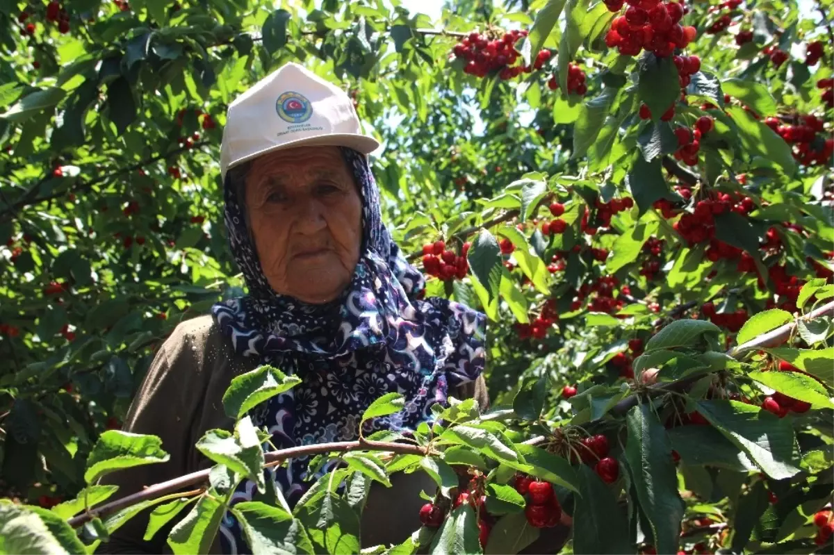 Çiftçinin Beklentisi Mazot ve Gübre Fiyatlarının Düşmesi