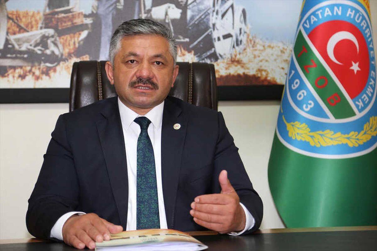 Genç Çiftçi Projesi Fındık Üretimini de Olumlu Etkileyecek"