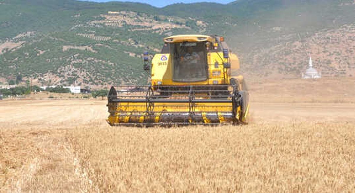 Antbirlik Buğday Alım Fiyatını Açıkladı