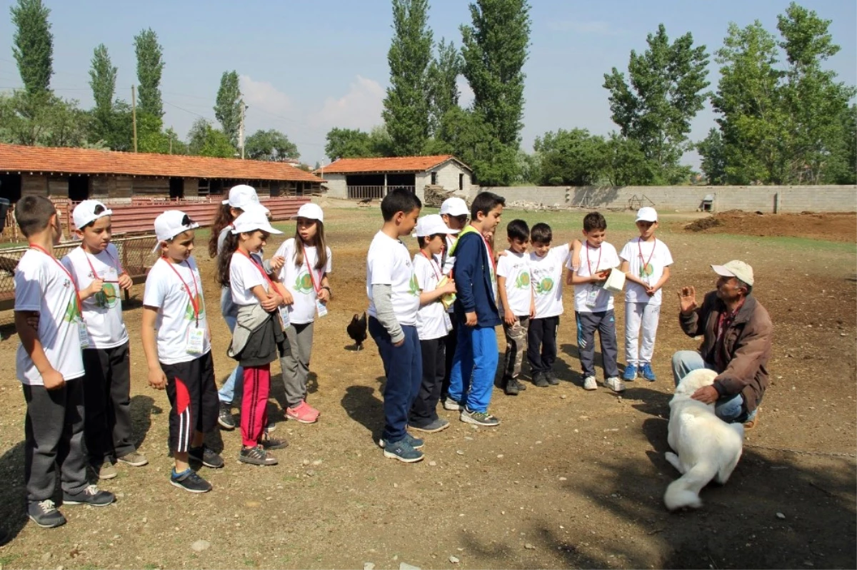 İlkokul Öğrencilerine \'Lider Çocuk Tarım Kampı\' Eğitimi