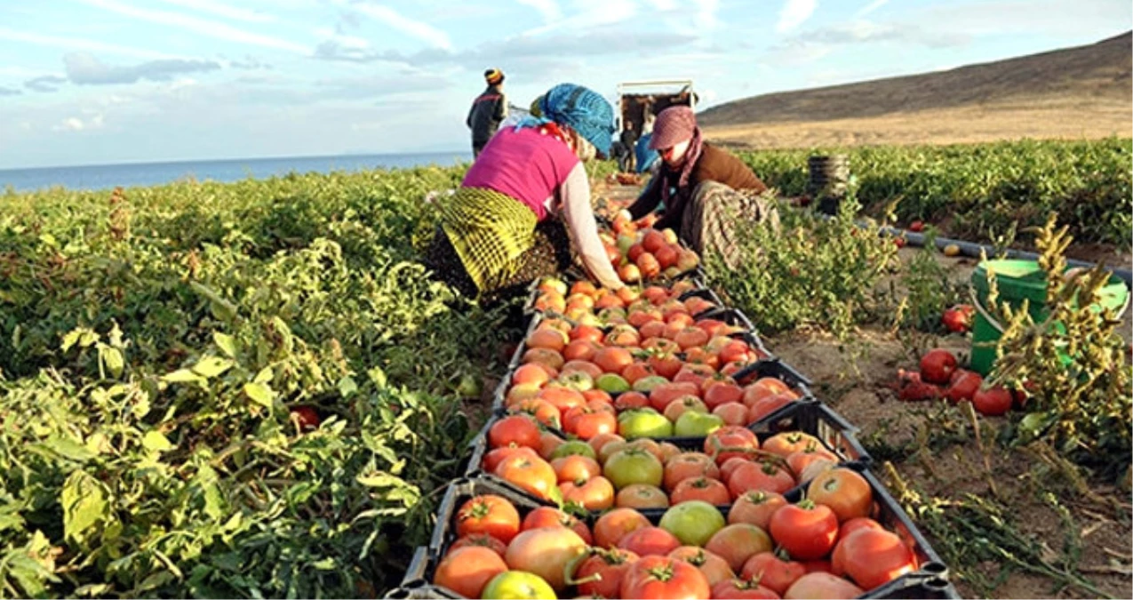 İsrail, Türkiye\'den Tarım Ürünleri İthalatını Dondurdu