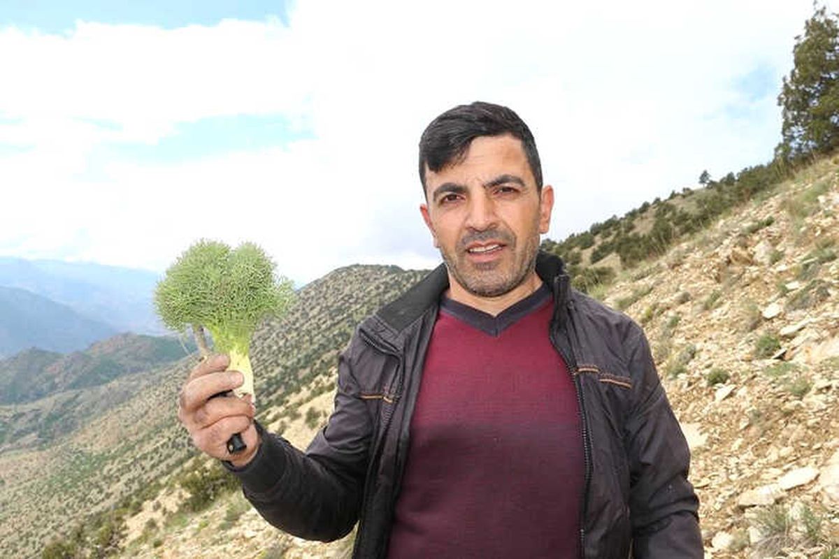 Erzurum\'da Çaşır Zamanı