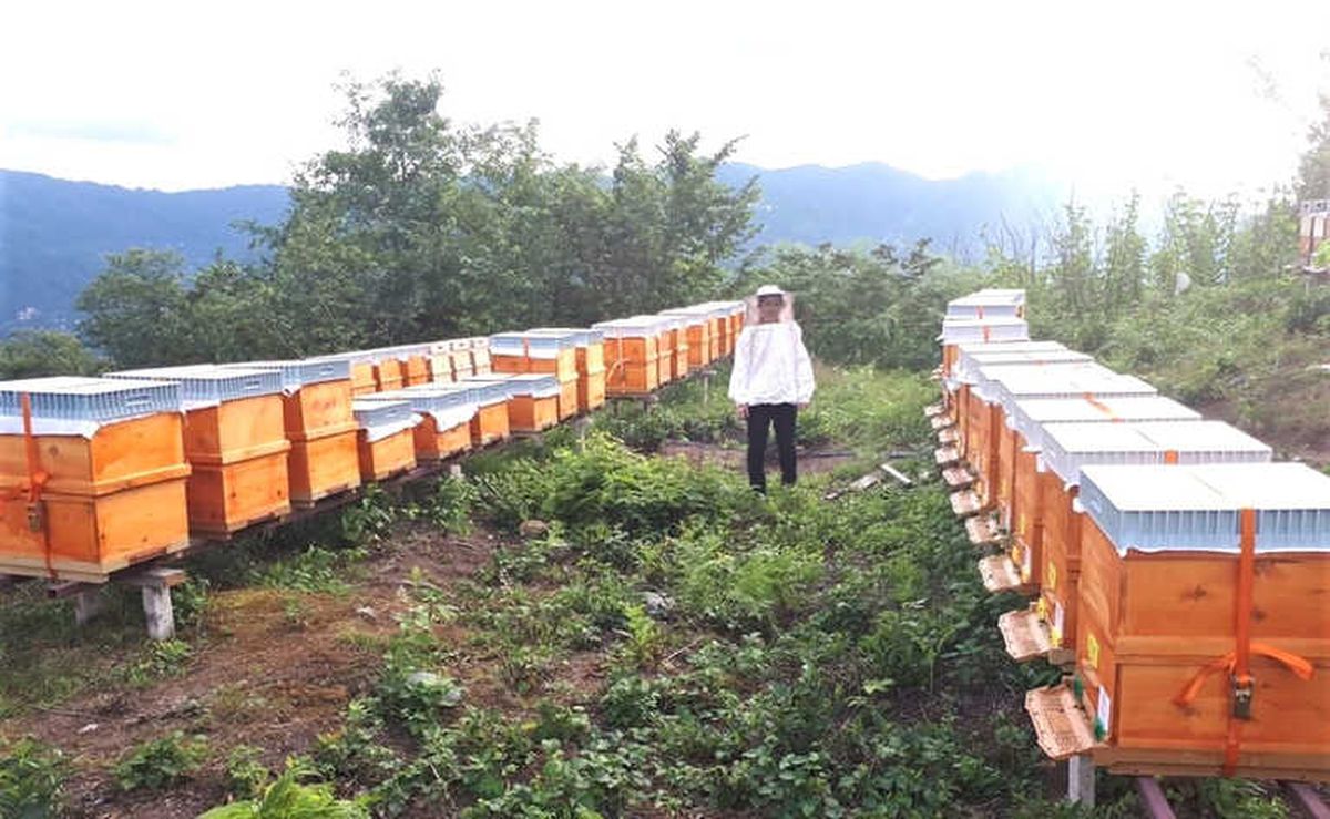 Arıcılara Destek Uyarısı