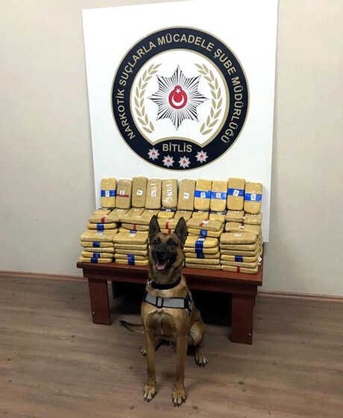 Bitlis\'te Tır\'ın Dorsesinde 73 Kilo Eroin Ele Geçirildi