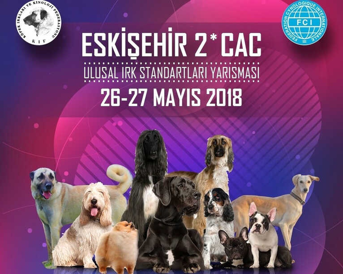 Köpek Irkları Eskişehir\'de Yarışacak