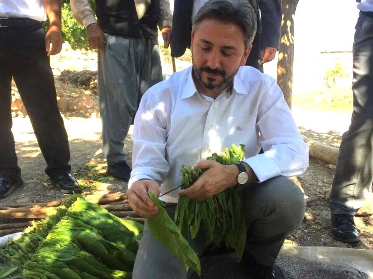 TBMM Başkanvekili Aydın: "Tütün Üreticimizi Mağdur Etmedik"
