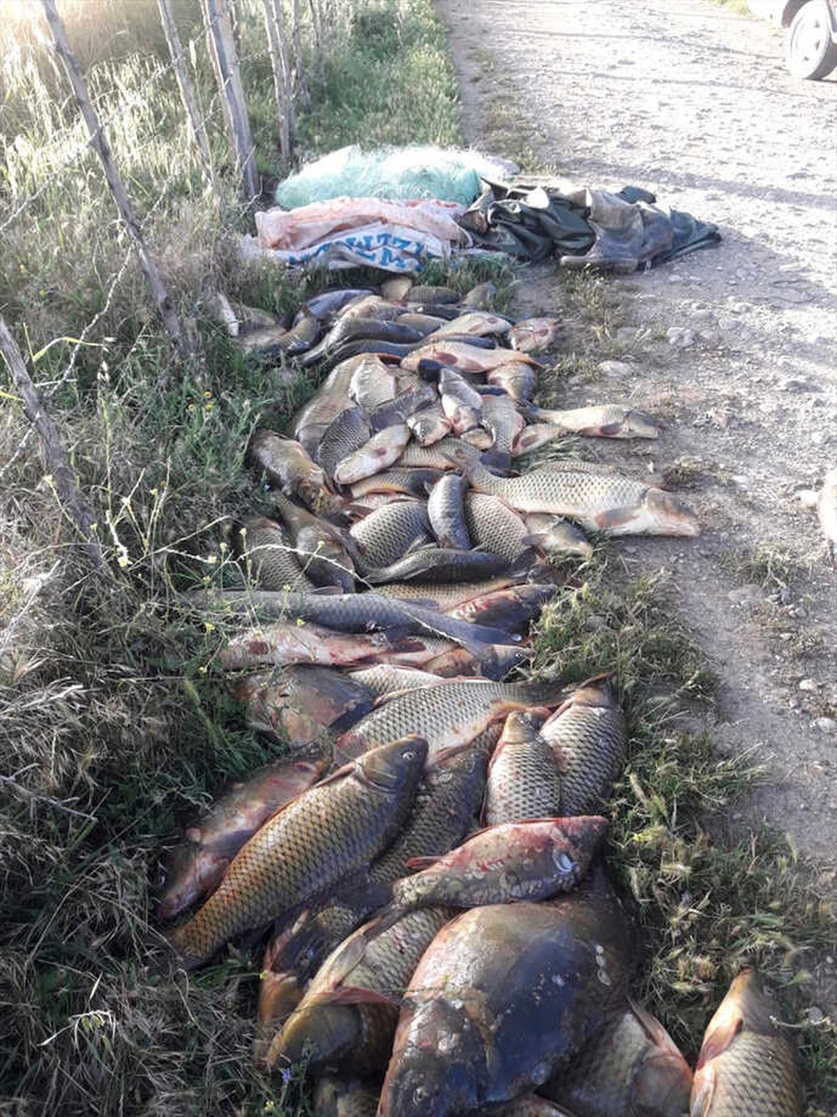 Adıyaman\'da Kaçak Avcılara Ceza
