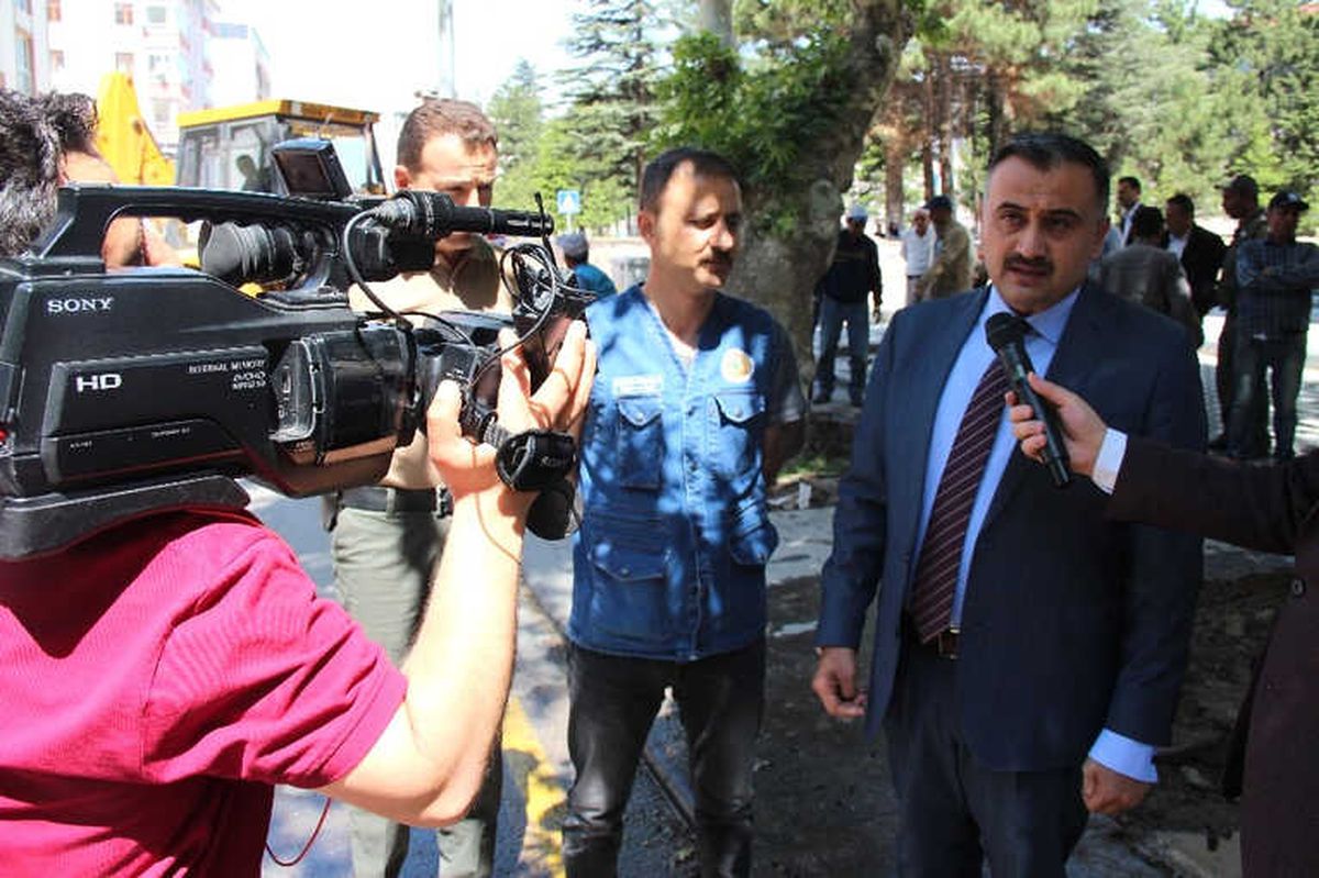 Elbiz Caddesindeki Çınar Ağaçlarını Kurtarma Operasyonu