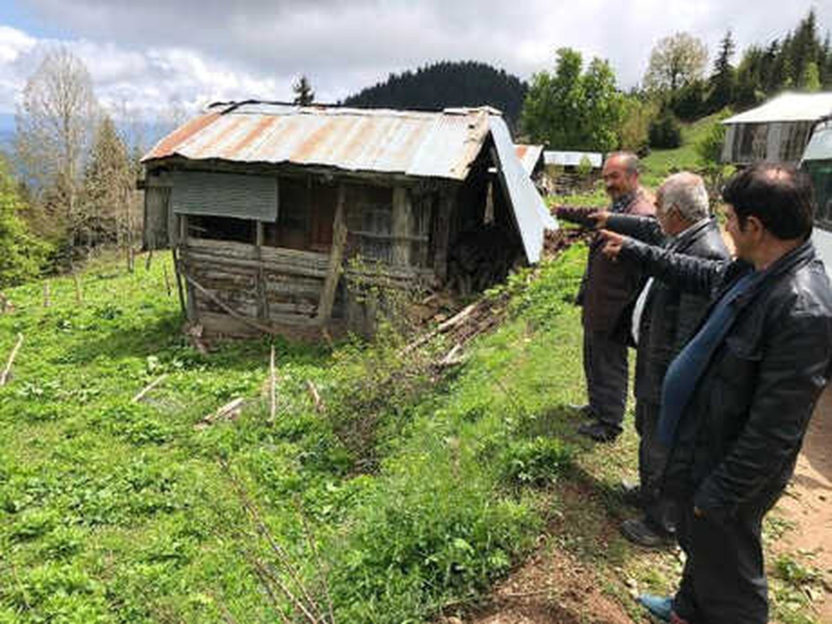Şavşat\'ta Ayılar, 20 Yayla Evine Zarar Verdi