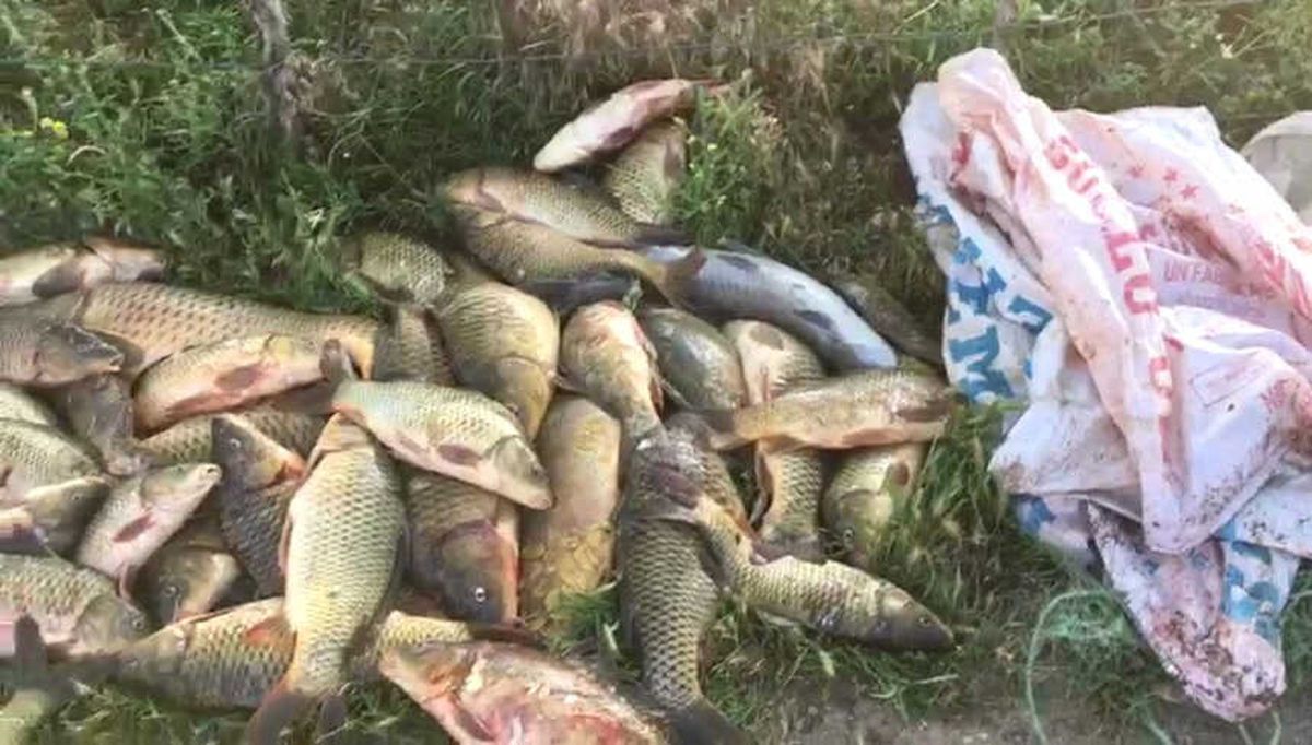 Yasağa Rağmen Balık Avlayan Şahıslar Jandarmadan Kaçamıyor