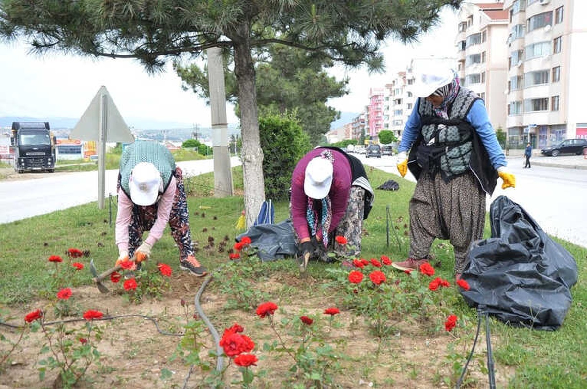 Yeşil Alanlarda Bakım Çalışmaları Hız Kazandı