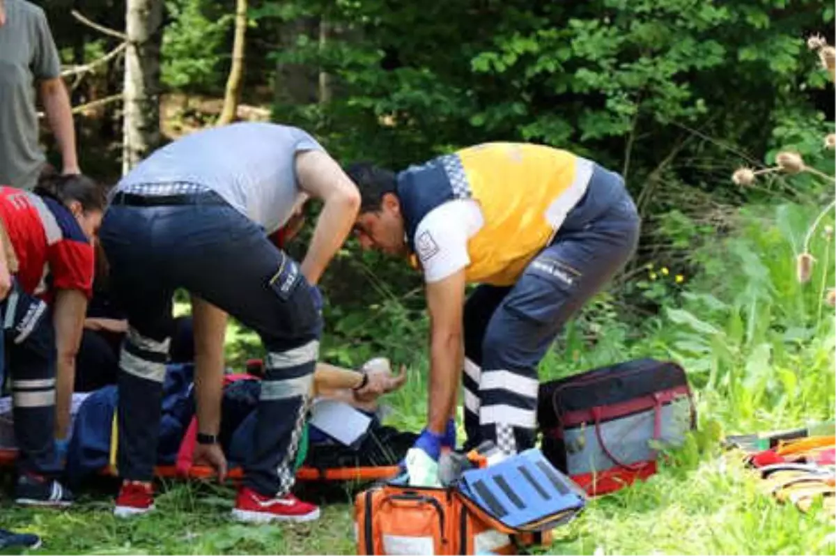 Ağaca Çarpan Cipteki 3 Kişi Yaralandı