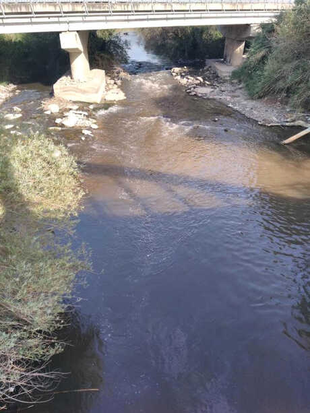 Büyük Menderes\'te Toplu Balık Ölümü