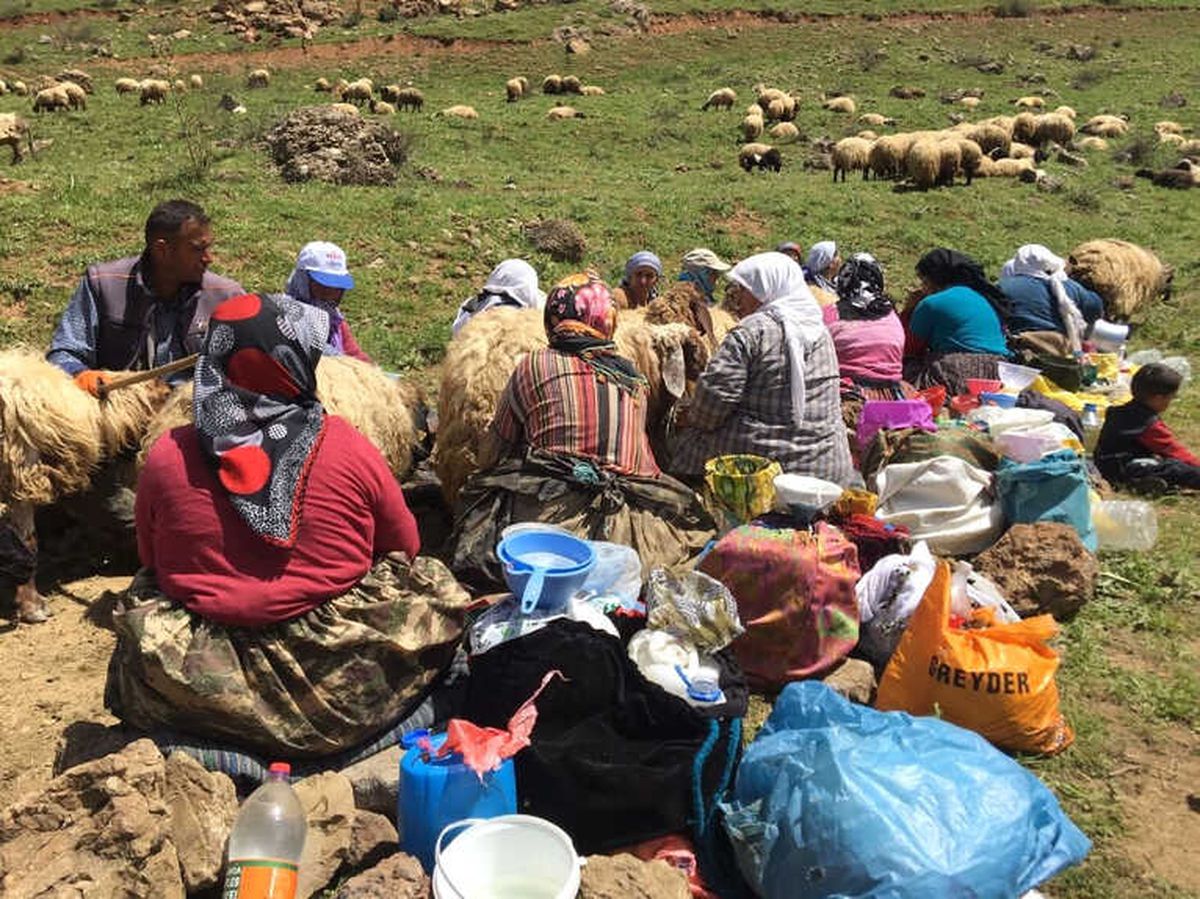 Dağlara Terör Yerine Huzur Geldi