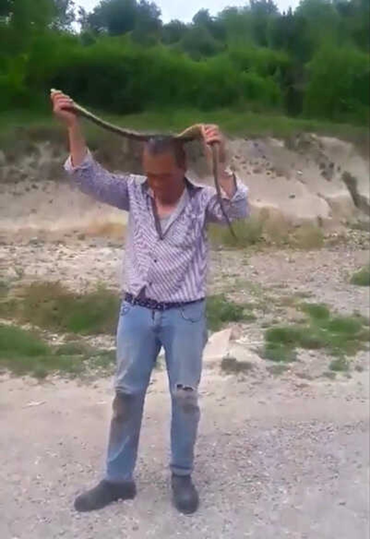 Hiç Korkmadan Boynuna Doladı