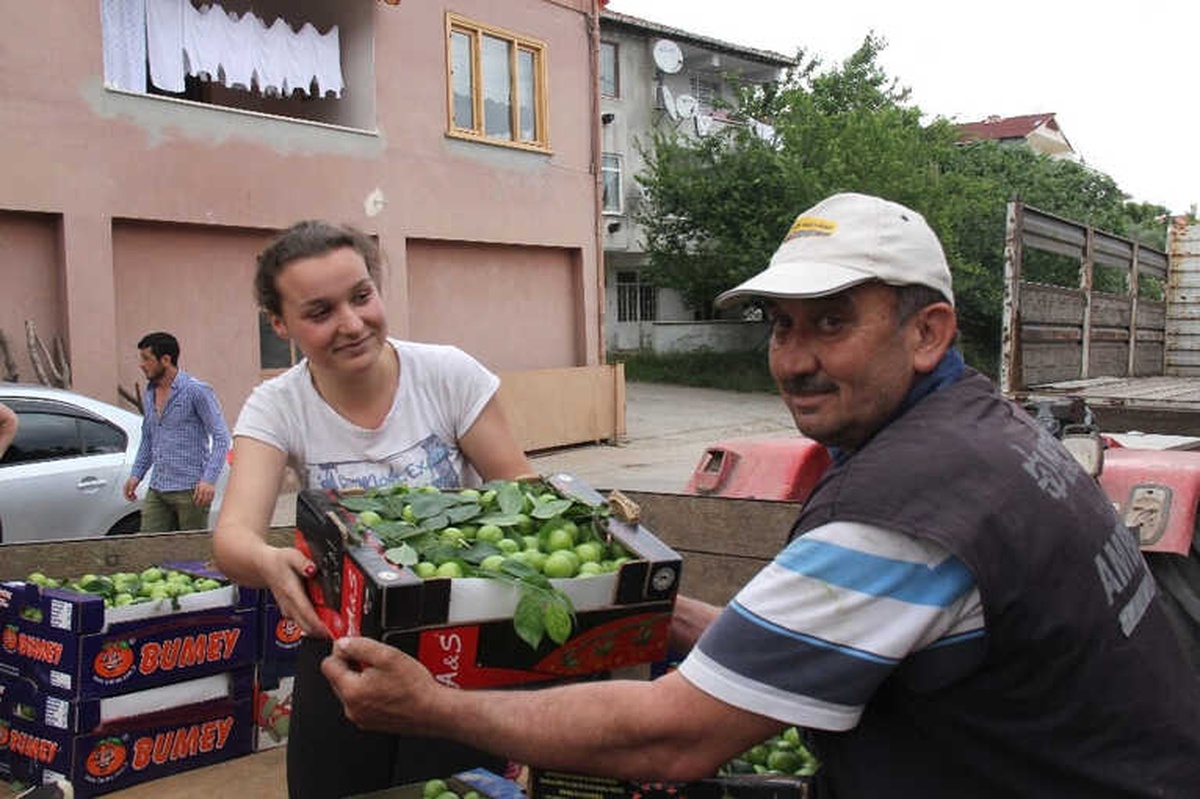 Erik Tarlada 3, Tezgahta 10 Lira