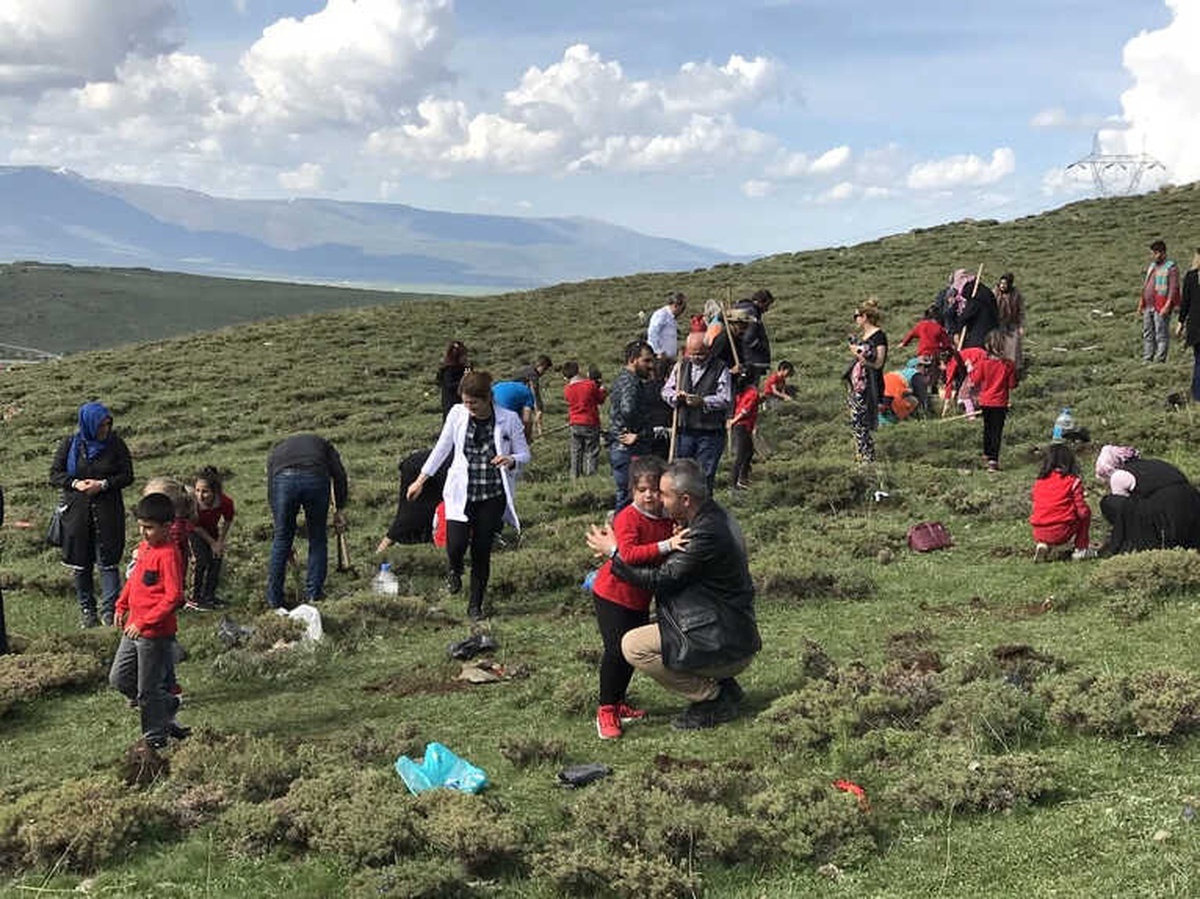 Şehit Üsteğmen İsmail Aksu İlkokulu\'ndan Ağaç Dikim Etkinliği