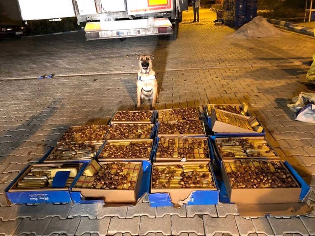Van\'da Polis Hurma Kutuları İçerisinde 138 Kilo Eroin Ele Geçirdi