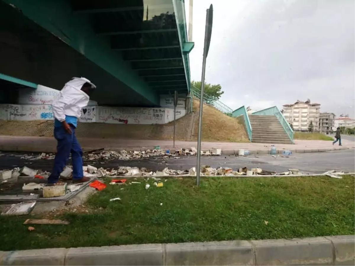 Antalya\'da Arı Kovanı Yüklü Tır Köprüye Çarptı, Arılar Karayolunu İstila Etti