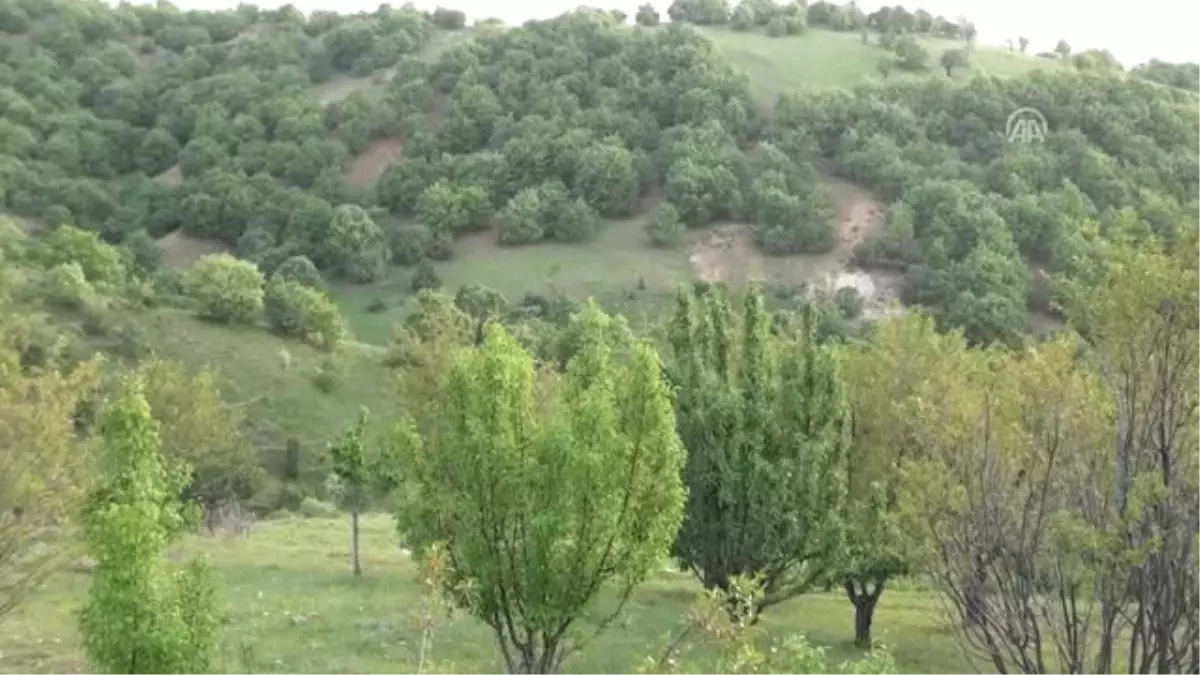 Boş Havuza Düşen Porsuk İtfaiye Ekiplerince Kurtarıldı