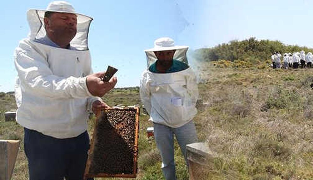 Bozcaada\'da Arı Üreticilerine Sertifikaları Törenle Dağıtıldı