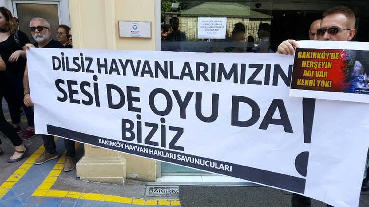 Hayvan Hakları Savunucularından Bakırköy Belediyesi\'ne Tepki