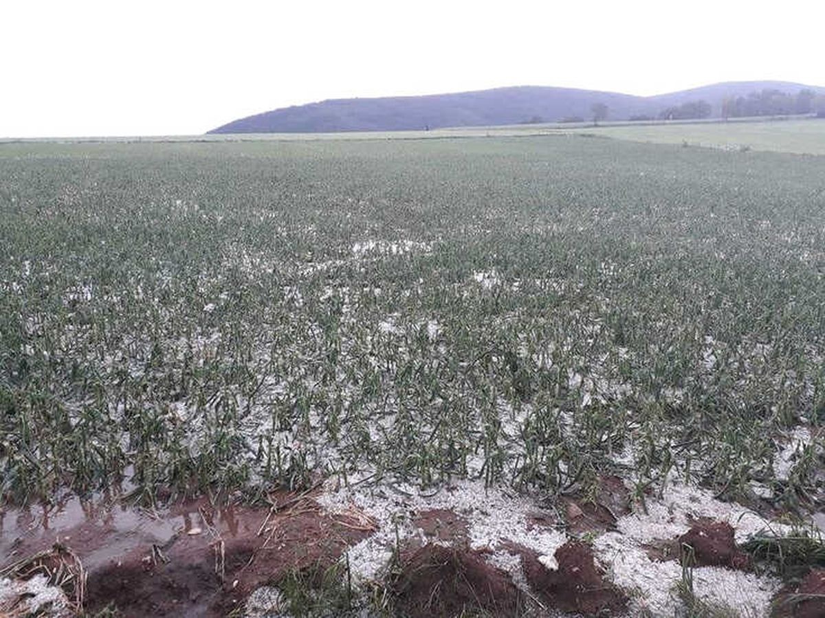 Kastamonu\'da Ceviz Büyüklüğünde Dolu Yağdı