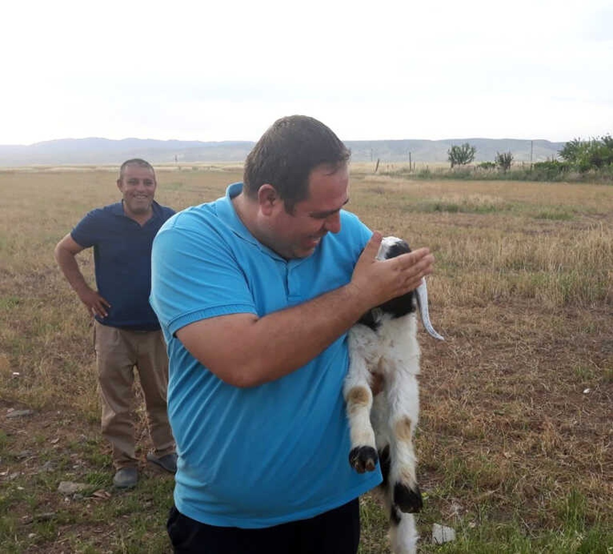 Nusaybin\'de Kuyuya Düşen Kuzuyu İtfaiye Kurtardı