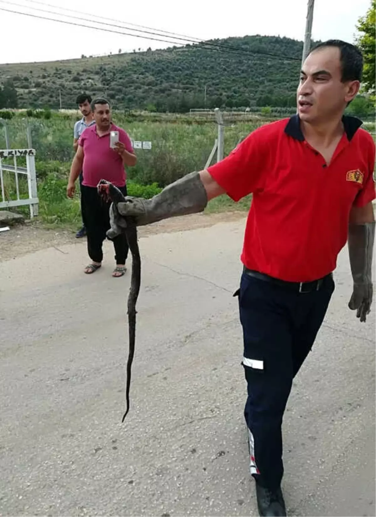 Aracın Motoruna Giren Yılanı İtfaiye Ekipleri Çıkardı