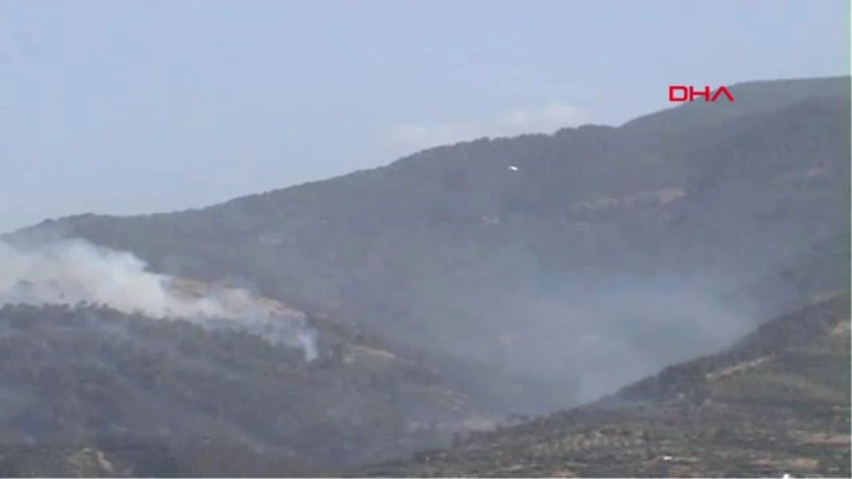 Aydın Kuyucak\'taki Yangın, 25 Hektarlık Orman ve Zeytinlik Alanı Etkiledi