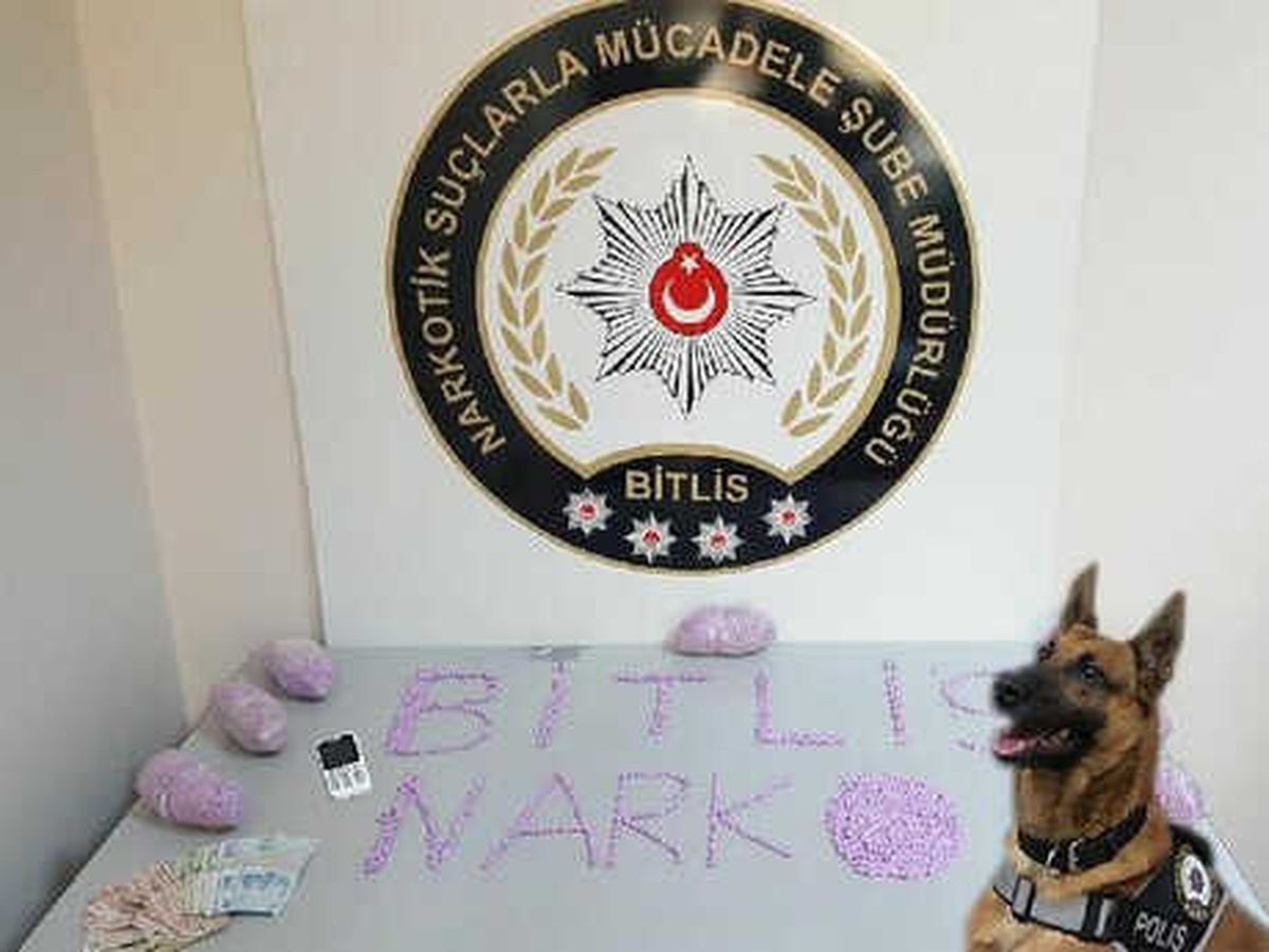 Bitlis\'te 11 Bin Adet Ecstasy Hap Ele Geçirildi