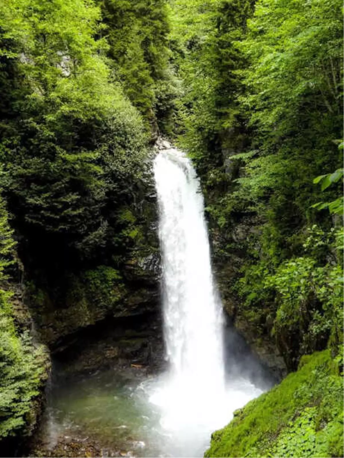 Doğu Karadeniz\'in En Yüksek Debili Şelalesine Turist İlgisi