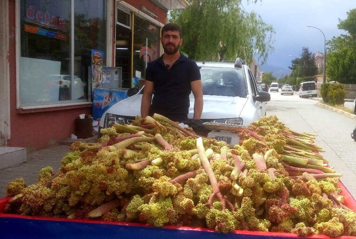 Işkın Erzincan\'da Tezgahlardaki Yerini Aldı
