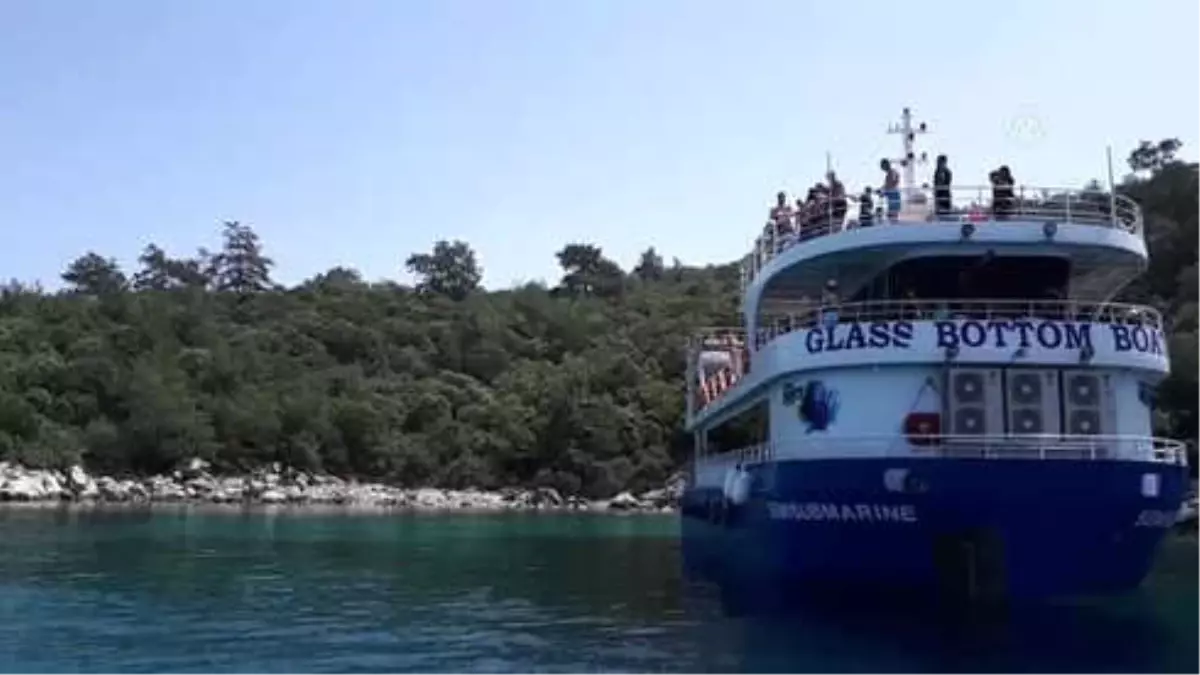 Marmaris\'te Tur Teknesine Yunus Eşlik Etti - Muğla