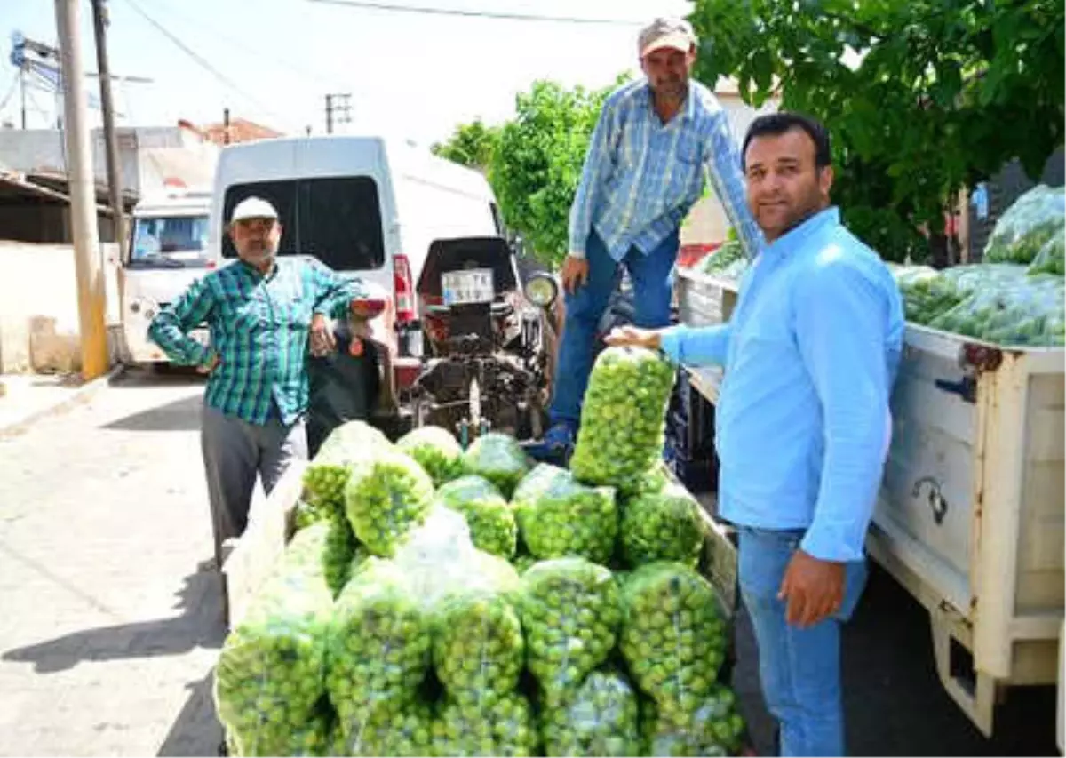 Para Etmeyen Erik, Üreticiyi Mağdur Etti