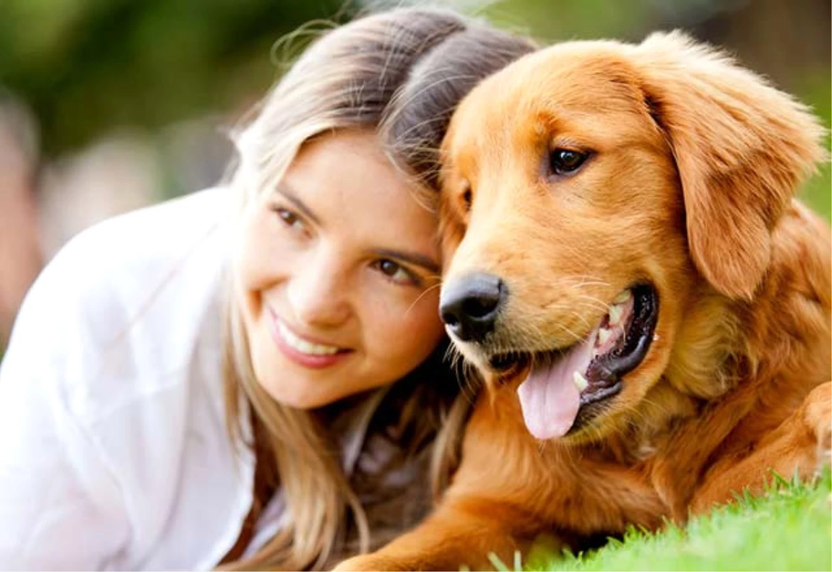 Köpeğinizi Sakinleştirmek İçin 8 Doğal Yöntem