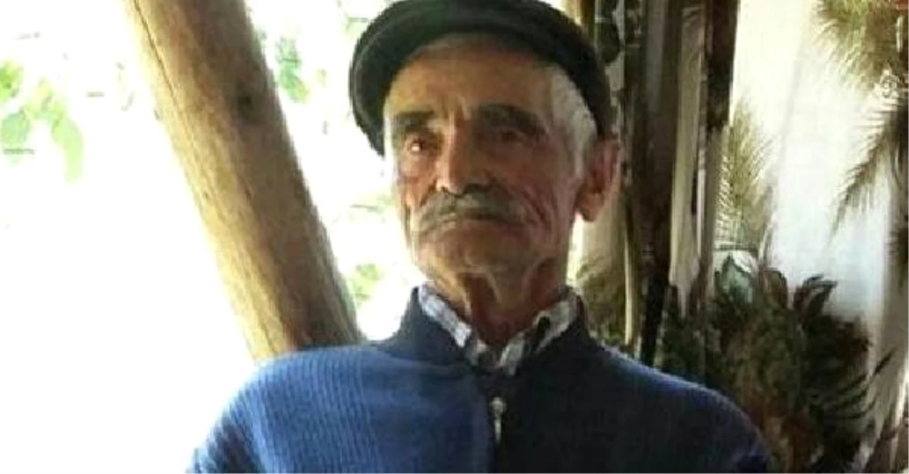 Osmancık\'ta Kene Isıran Çiftçi Öldü
