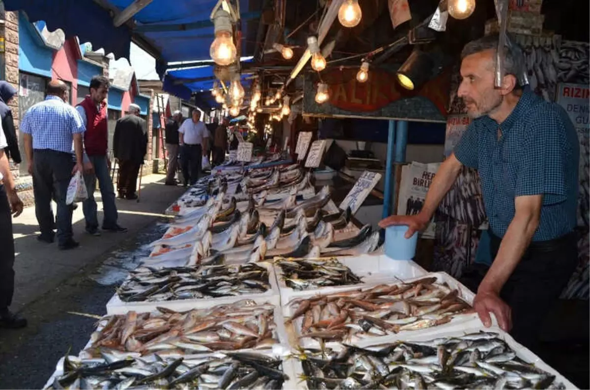 Trabzon\'da Balık Fiyatları Geçen Yılın Aynı Dönemine Göre Yüzde 50 Arttı