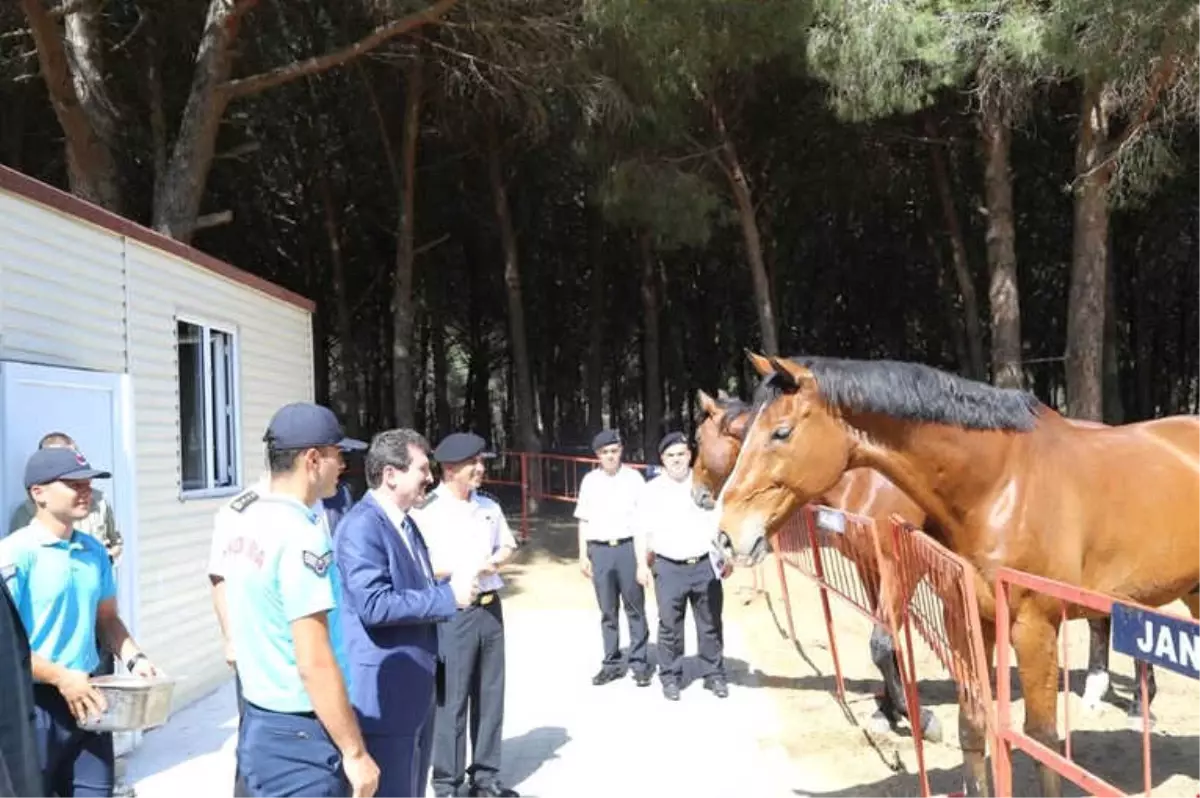 Vali Tavlı, Kabatepe Jandarma Karakolunu İnceledi