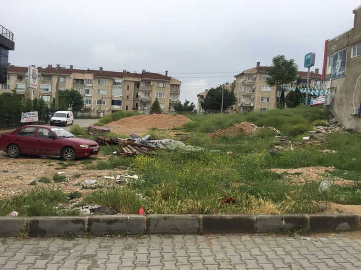 Fikir Gölü Meyvelerini Vermeye Başladı